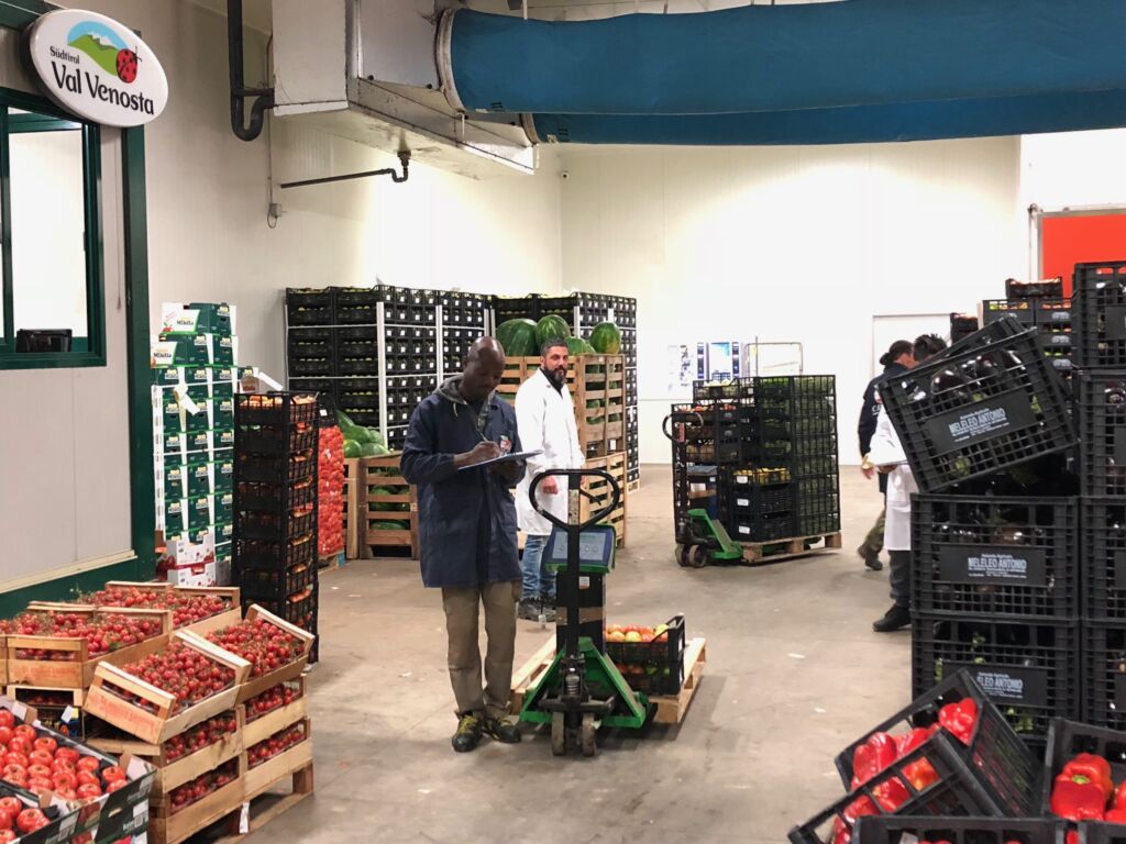 Foto4 lavorazione